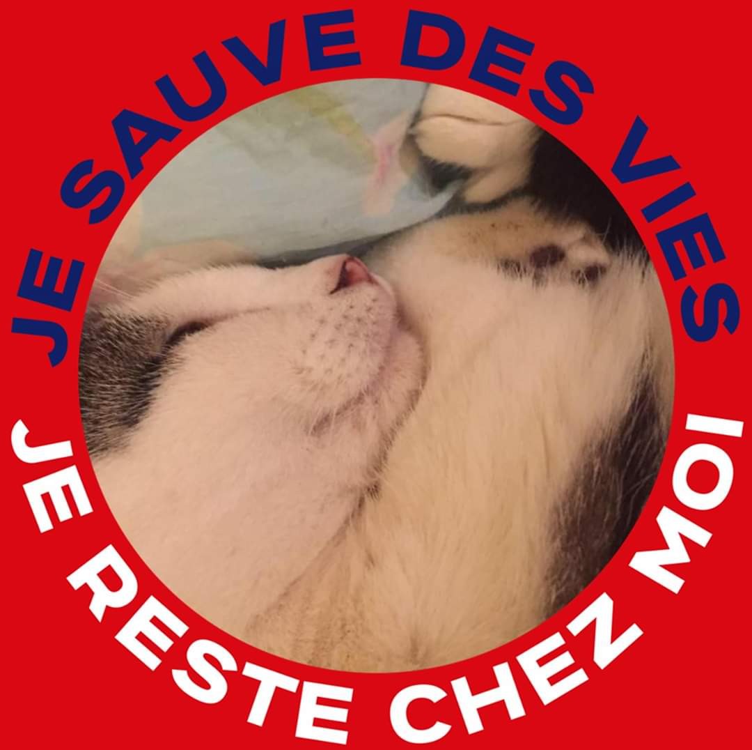 Fb img 1588315798338