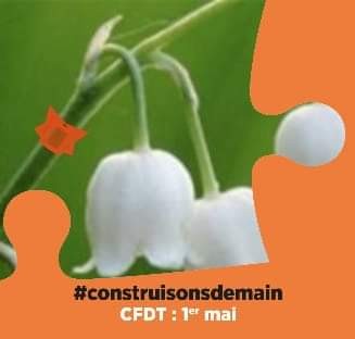 Fb img 1588330407292