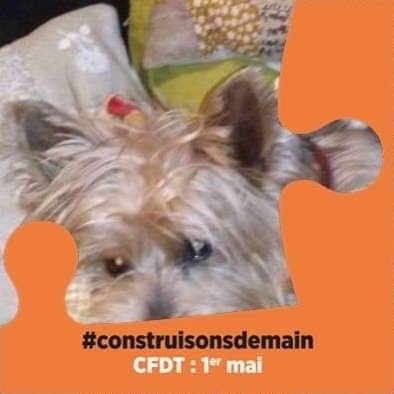 Fb img 1588336864867